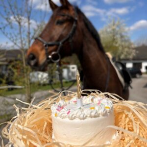 Birthdaycake fuer Pferde